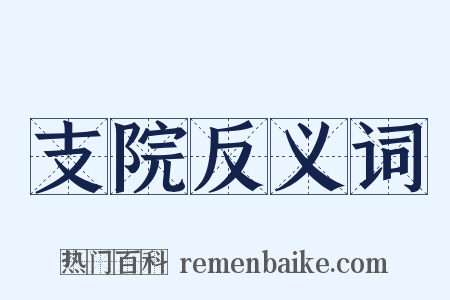 支院反义词是什么意思的图片